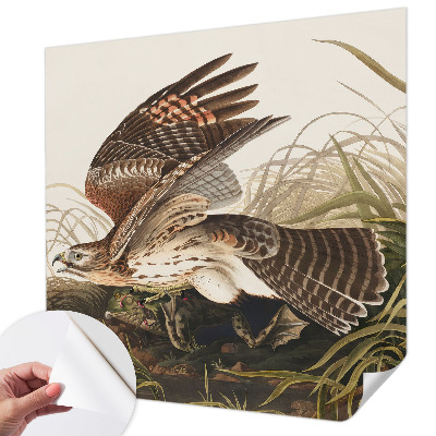 84D-Fototapete fürs Wohnzimmer Geflügelte Schönheit