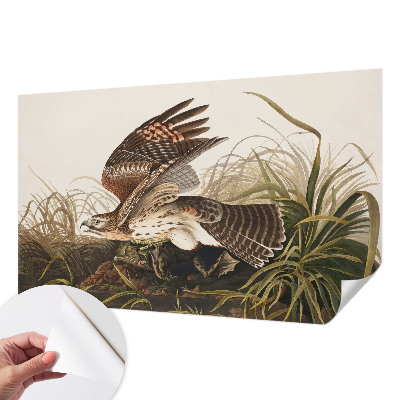 84D-Fototapete fürs Wohnzimmer Geflügelte Schönheit