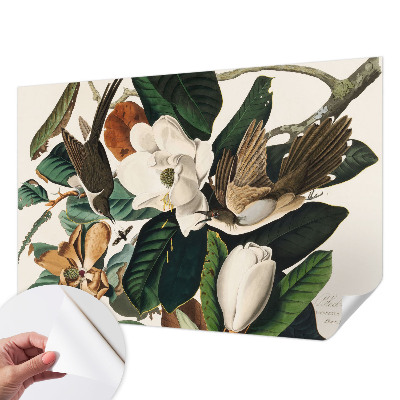 84D-Fototapete fürs Schlafzimmer mit Vögeln und Magnolien