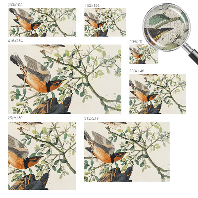 Moderne Fototapete nach Maß Bunte Vögel