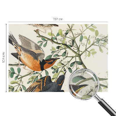 Moderne Fototapete nach Maß Bunte Vögel