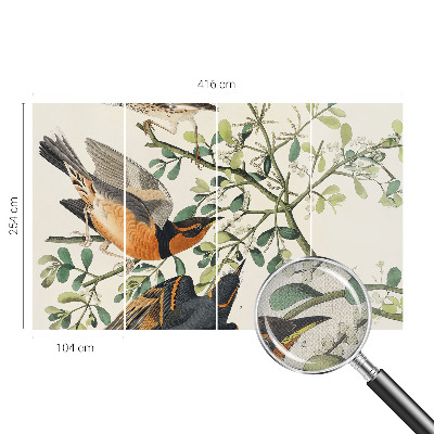 Moderne Fototapete nach Maß Bunte Vögel