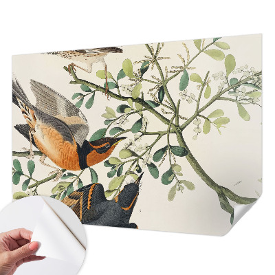 Moderne Fototapete nach Maß Bunte Vögel