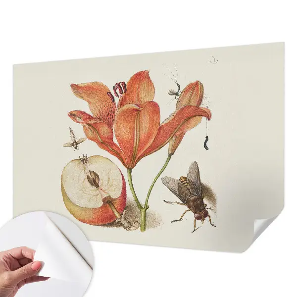 Selbstklebende Fototapete fürs Wohnzimmer mit botanischer Illustration