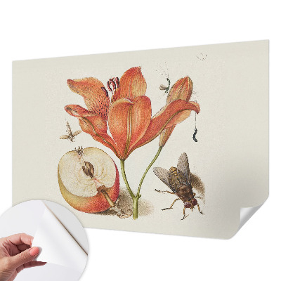 Selbstklebende Fototapete fürs Wohnzimmer mit botanischer Illustration