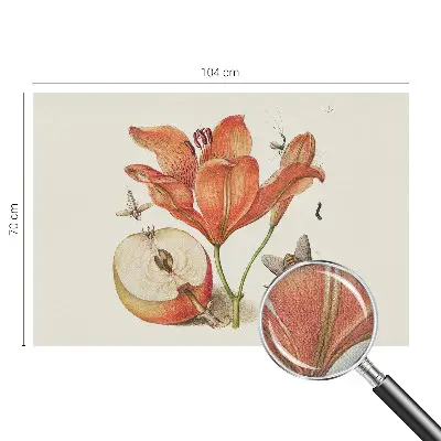 Selbstklebende Fototapete fürs Wohnzimmer mit botanischer Illustration