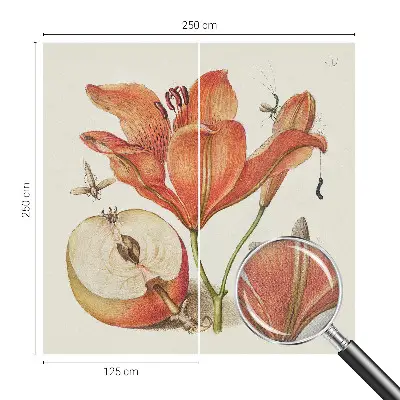 Selbstklebende Fototapete fürs Wohnzimmer mit botanischer Illustration