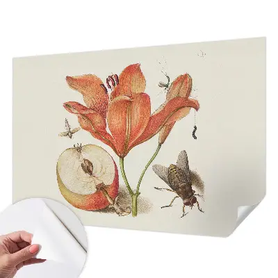 Selbstklebende Fototapete fürs Wohnzimmer mit botanischer Illustration