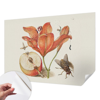Selbstklebende Fototapete fürs Wohnzimmer Botanische Illustration