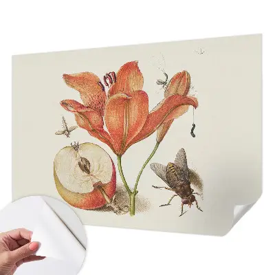 Selbstklebende Fototapete fürs Wohnzimmer mit botanischer Illustration