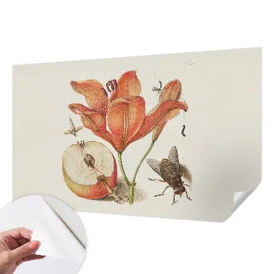 Selbstklebende Fototapete fürs Wohnzimmer mit botanischer Illustration