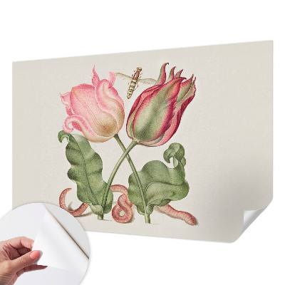 Selbstklebende Fototapete mit Motiv „Tulpenschönheit“