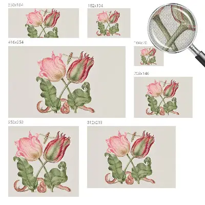 Selbstklebende Fototapete mit Motiv „Tulpenschönheit“