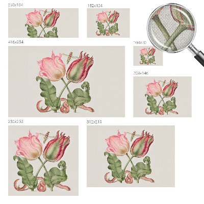 Selbstklebende Fototapete Tulpenschönheit