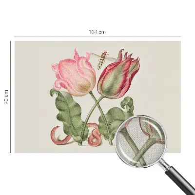 Selbstklebende Fototapete mit Motiv „Tulpenschönheit“