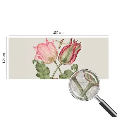 Selbstklebende Fototapete mit Motiv „Tulpenschönheit“