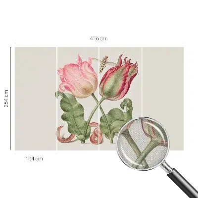 Selbstklebende Fototapete mit Motiv „Tulpenschönheit“