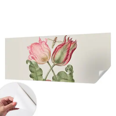 Selbstklebende Fototapete mit Motiv „Tulpenschönheit“