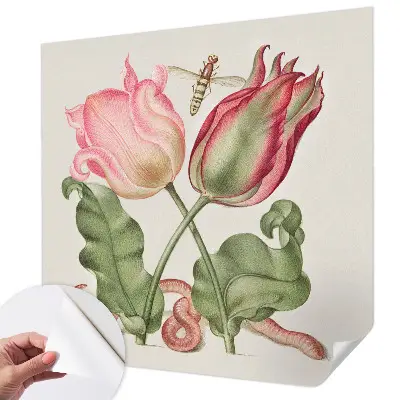 Selbstklebende Fototapete mit Motiv „Tulpenschönheit“