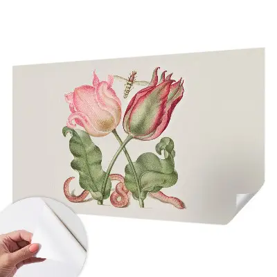Selbstklebende Fototapete mit Motiv „Tulpenschönheit“