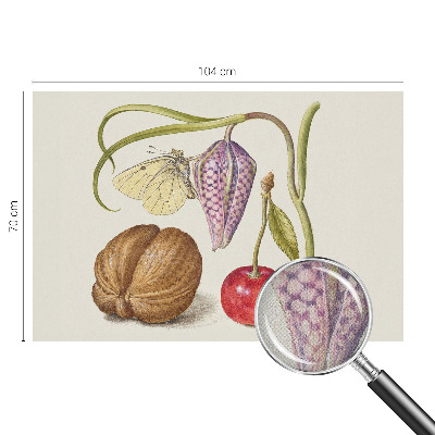 Selbstklebende Fototapete fürs Schlafzimmer Schmetterlingspflanze