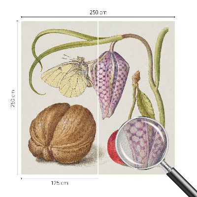 Selbstklebende Fototapete fürs Schlafzimmer Schmetterlingspflanze