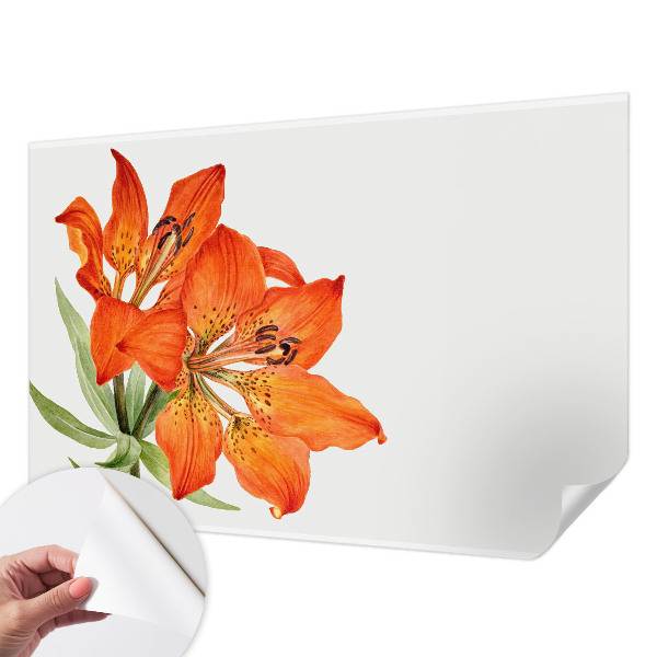 Selbstklebende Fototapete fürs Kinderzimmer Orangefarbene Lilie