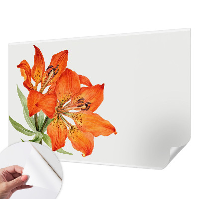 Selbstklebende Fototapete fürs Kinderzimmer Orangefarbene Lilie