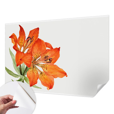 Selbstklebende Fototapete fürs Kinderzimmer Orangefarbene Lilie