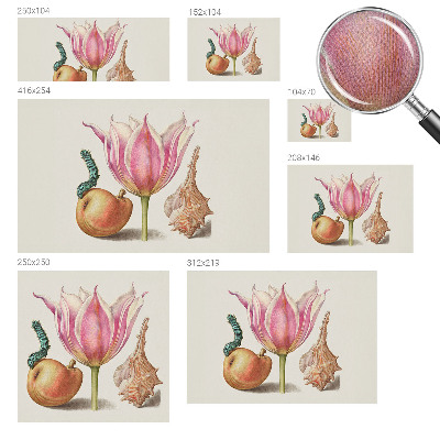 85D-Fototapete Natürliche Symbiose