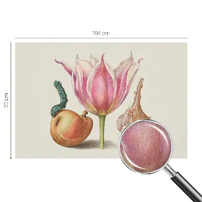 85D-Fototapete mit dem Motiv „Natürliche Symbiose“