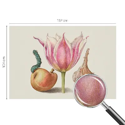 85D-Fototapete mit dem Motiv „Natürliche Symbiose“