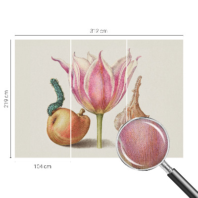 85D-Fototapete Natürliche Symbiose