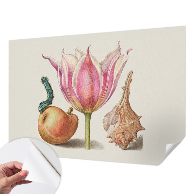 85D-Fototapete Natürliche Symbiose