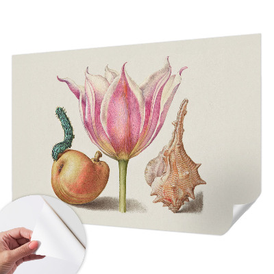 85D-Fototapete Natürliche Symbiose