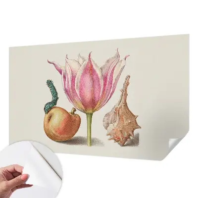85D-Fototapete mit dem Motiv „Natürliche Symbiose“
