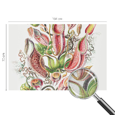 Hochwertige Bildtapete Pflanzendetails