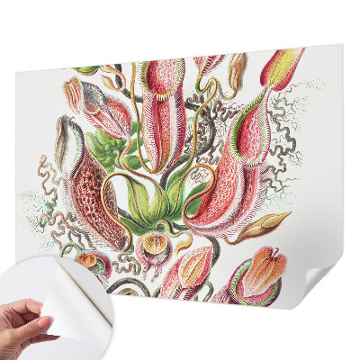 Hochwertige Bildtapete Pflanzendetails