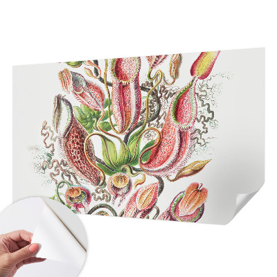 Hochwertige Bildtapete Pflanzendetails