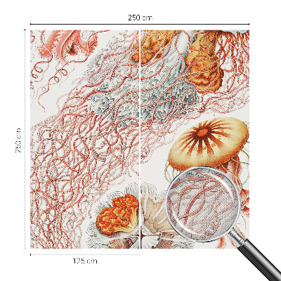 Selbstklebende Fototapete Zierqualle