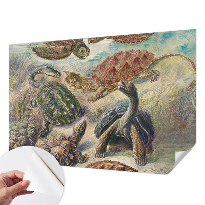 Selbstklebende Fototapete fürs Wohnzimmer mit Motiv einer Schildkrötenfauna