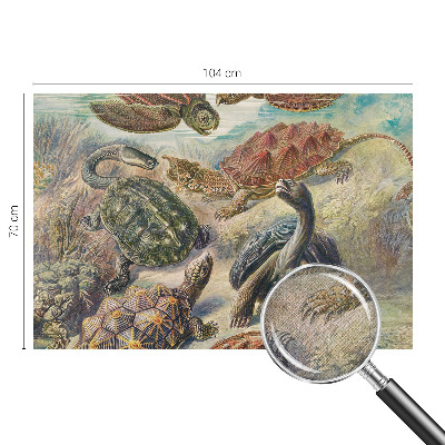 Selbstklebende Fototapete fürs Wohnzimmer mit Motiv einer Schildkrötenfauna