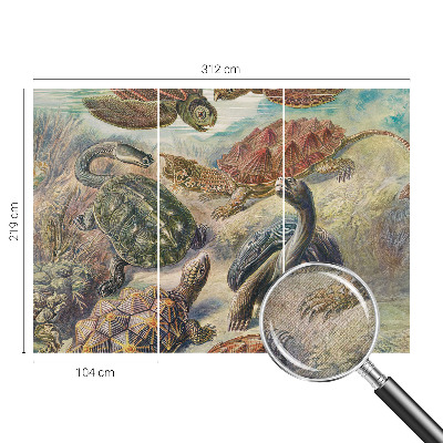 Selbstklebende Fototapete fürs Wohnzimmer mit Motiv einer Schildkrötenfauna