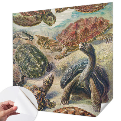 Selbstklebende Fototapete fürs Wohnzimmer mit Motiv einer Schildkrötenfauna