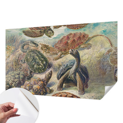 Selbstklebende Fototapete fürs Wohnzimmer mit Motiv einer Schildkrötenfauna