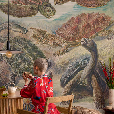 Selbstklebende Fototapete fürs Wohnzimmer mit Motiv einer Schildkrötenfauna