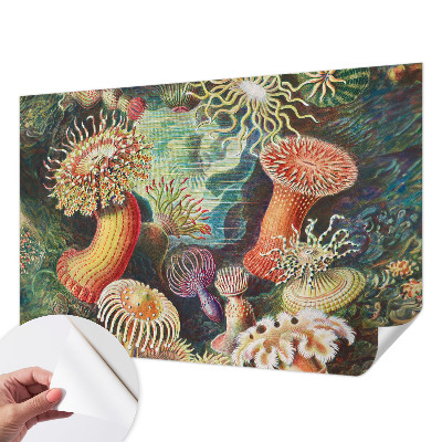 Selbstklebende Fototapete fürs Schlafzimmer mit Zieranemonen-Motiv