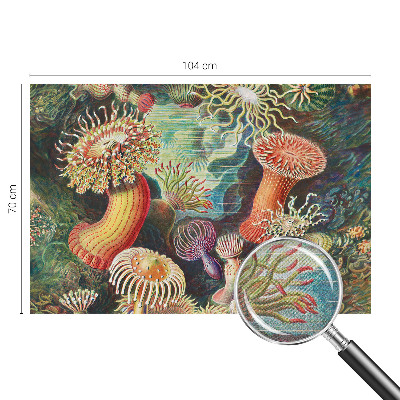 Selbstklebende Fototapete fürs Schlafzimmer mit Zieranemonen-Motiv