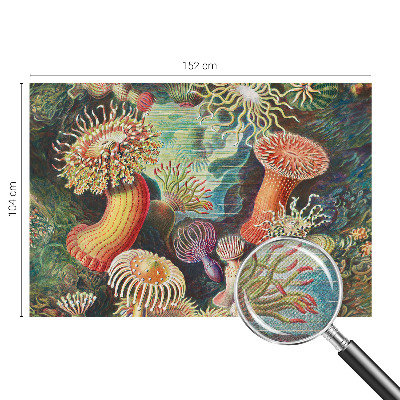 Selbstklebende Fototapete fürs Schlafzimmer mit Zieranemonen-Motiv