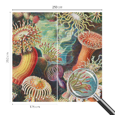 Selbstklebende Fototapete fürs Schlafzimmer mit Zieranemonen-Motiv